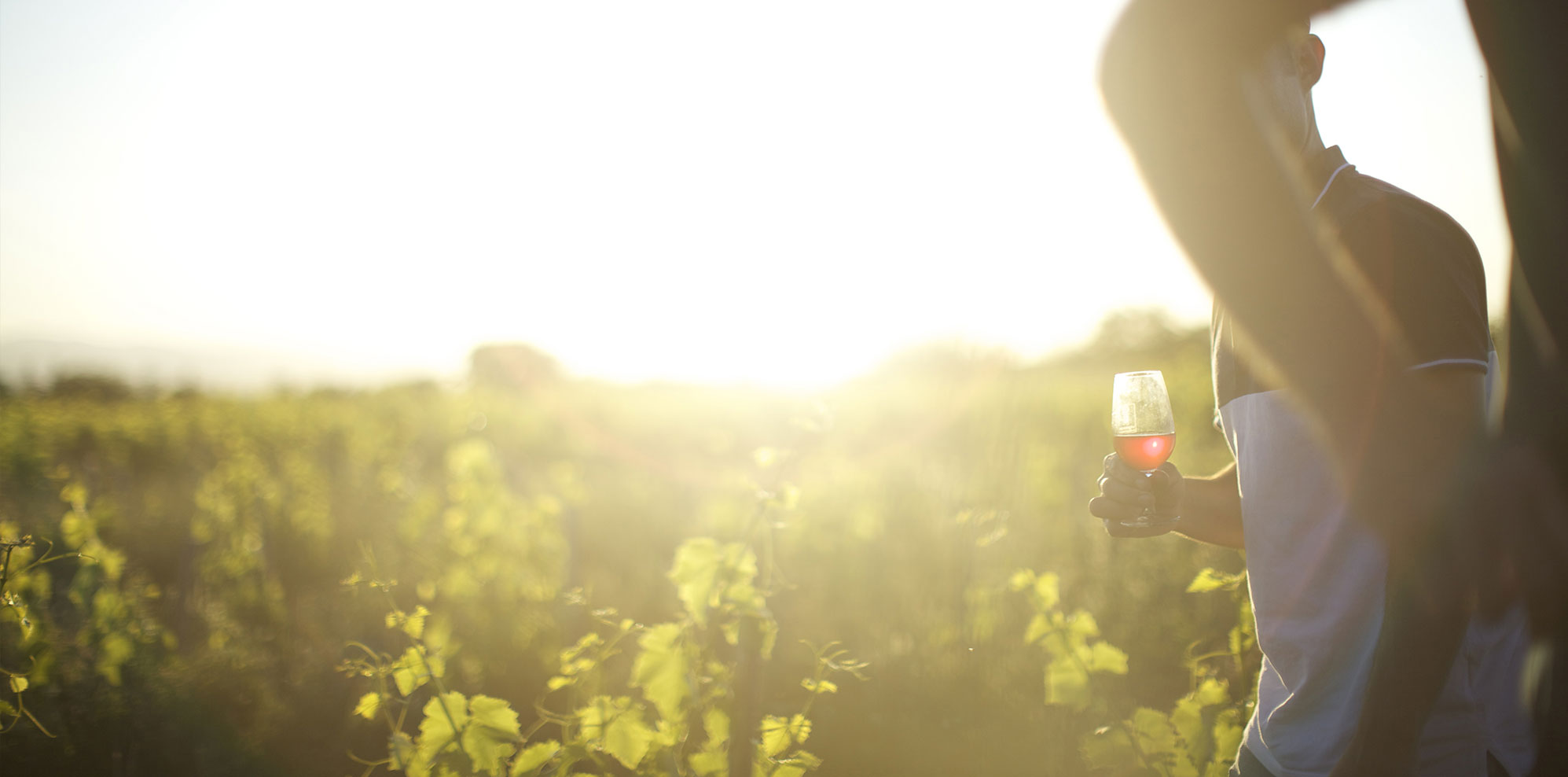 Wine calling. Wine calling. Wine calling. Nine wines. экофильмы.